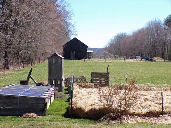 Spring morning - middle pasture crop April 2022.jpg