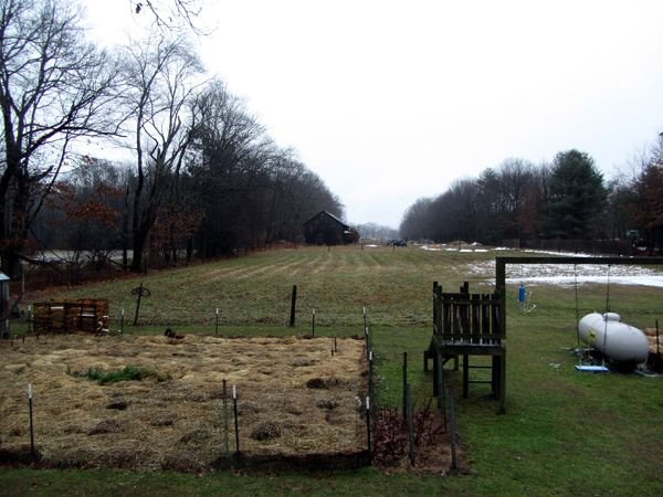 Middle pasture - snow 2-3 gone crop Dec 2024.jpg