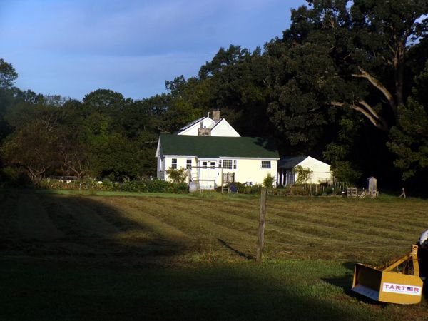 House in morning sun crop Sept. 2023.jpg