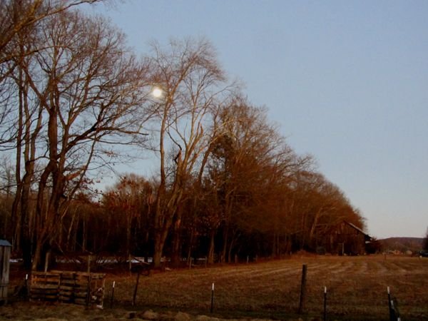 Moonrise crop Jan 2025.jpg