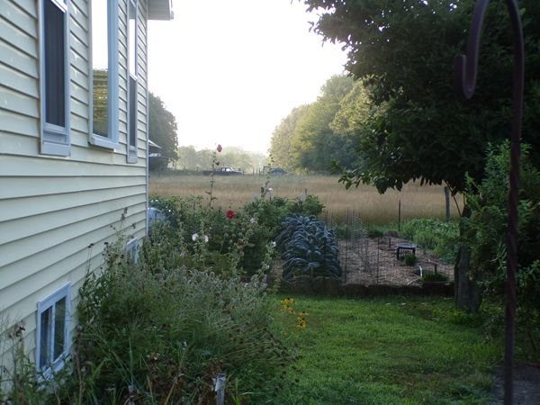 Hot, humid, hazy early morning 2 crop August 2022.jpg