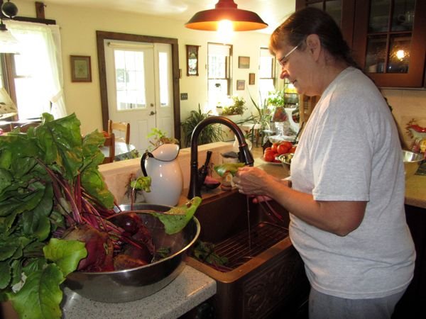 Pam washing beet greens crop August 2024.jpg