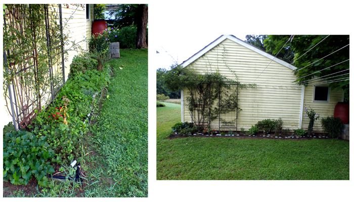 East Shed - collage crop July 2024.jpg