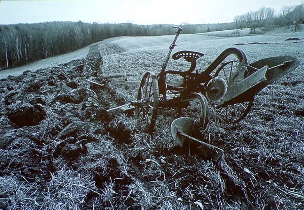 Root Hog or Die opening photo crop Feb. 2024.jpg