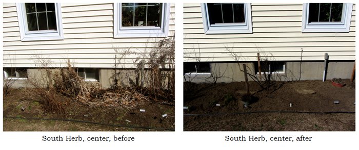 South Herb - before-after collage2 text crop March 2025.jpg