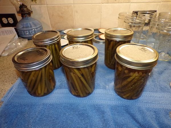 Scape pickles 6 pints crop June 2024.jpg