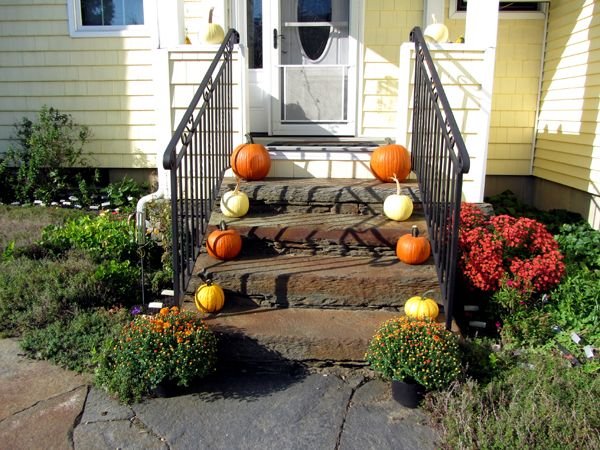 Front porch - pumpkins and mums crop Sept 2024.jpg