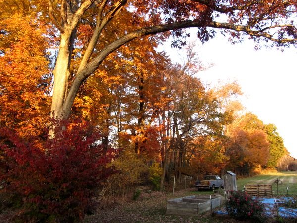 Middle pasture color in evening light crop Oct 2024.jpg