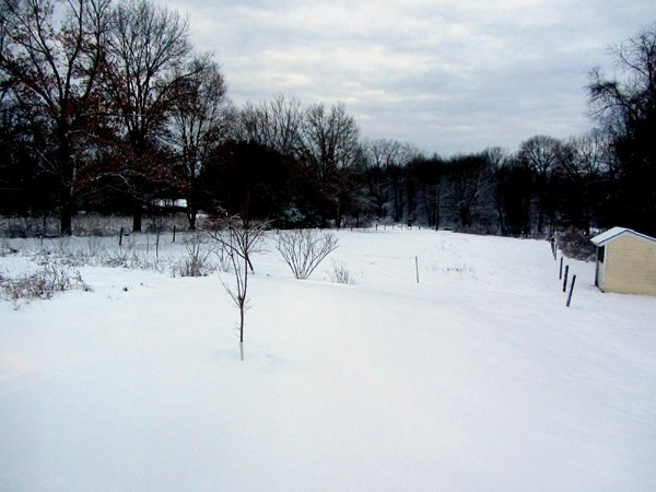 More snow crop Dec 2024.jpg