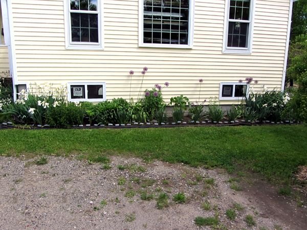 New South - done crop May 2025.jpg