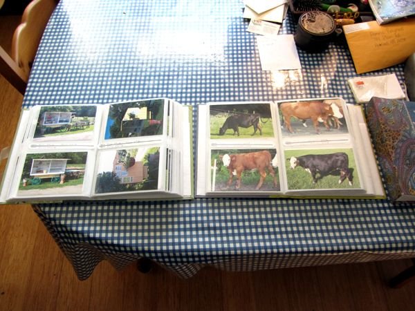 Farm photo albums done crop Jan 2025.jpg