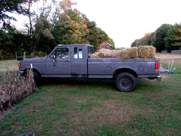 Truck load of mulch crop Oct 2024.jpg