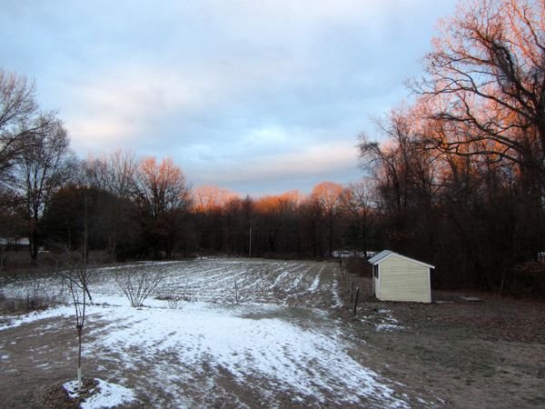 Gloomy late autumn sunrise crop Dec 2024.jpg