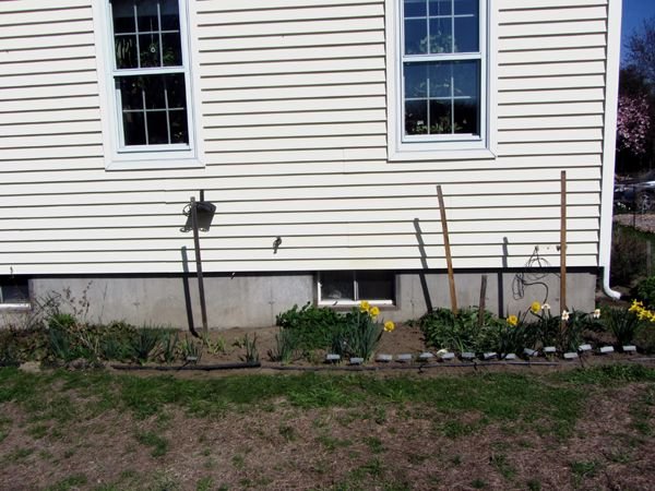 West Herb - cleaned out1 crop April 2025.jpg