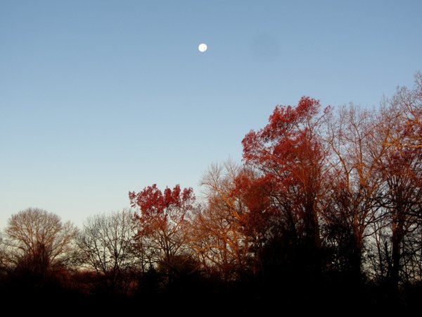 Sun rise, moon set in the west crop Nov 2024.jpg