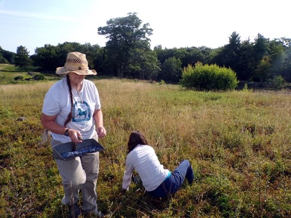 Blueberries - Pam, Carina crop July 2024.jpg