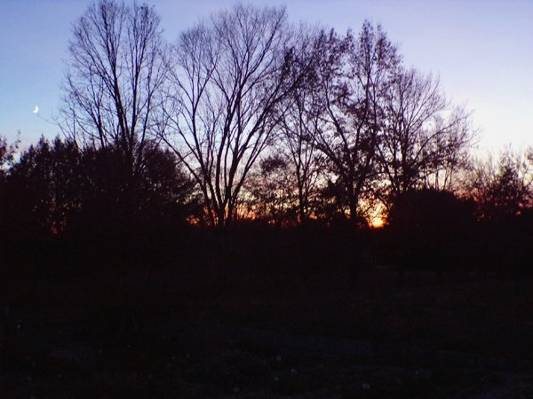 Sunset, moonrise crop Nov. 2023.jpg