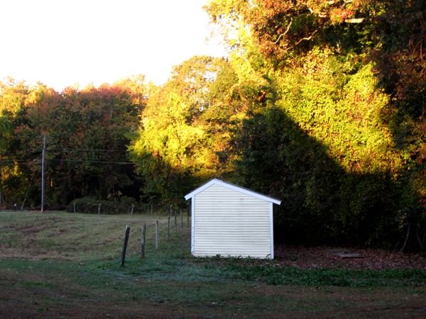 House shadow on trees crop Oct 2024.jpg