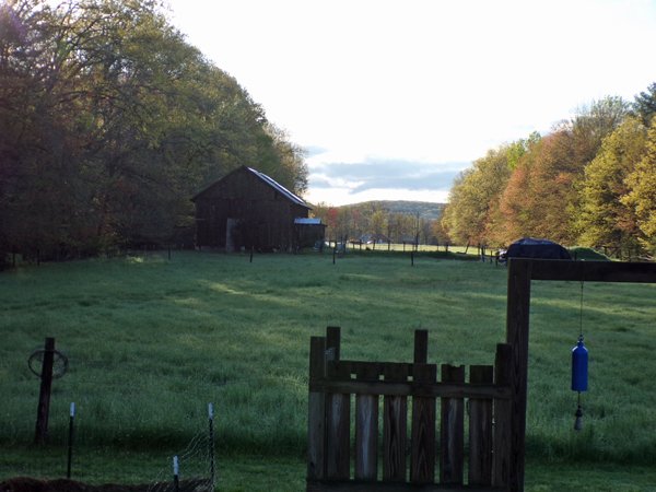 May morning crop May 2021.jpg
