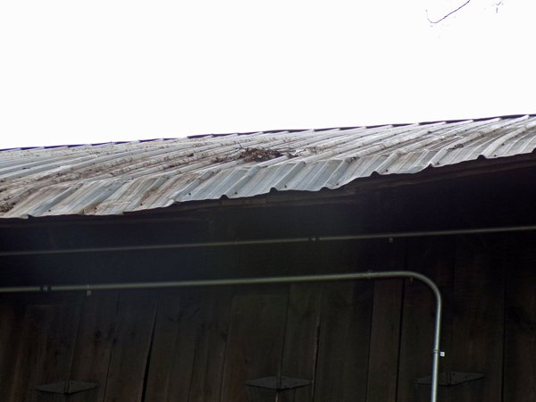 Barn roof damage crop Sept. 2021.jpg