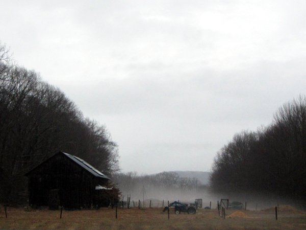 Fog rising crop March 2025.jpg