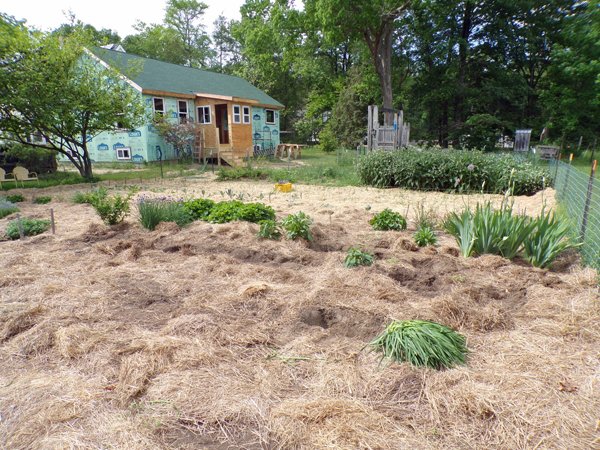 Big garden  craters crop May 2020.jpg