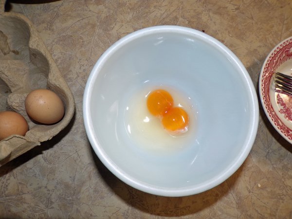 Double yolk pullet egg crop Sept. 2020.jpg