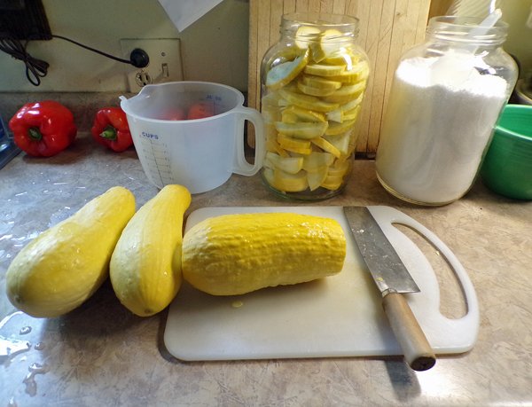 Summer squash relish  slicing squash crop August 2020.jpg