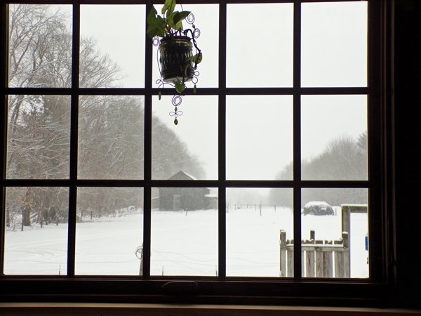 Snowy view out dining room window crop Feb. 2021.jpg