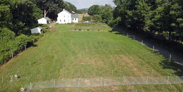 Drone  front pasture crop July 2020.jpg