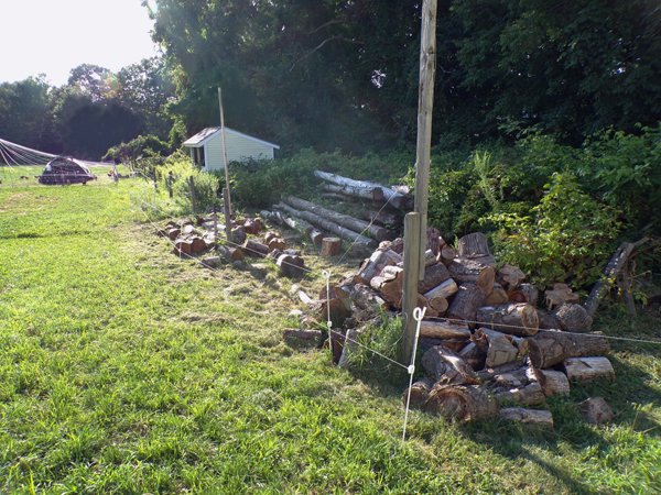 Woodpile2 crop August 2020.jpg