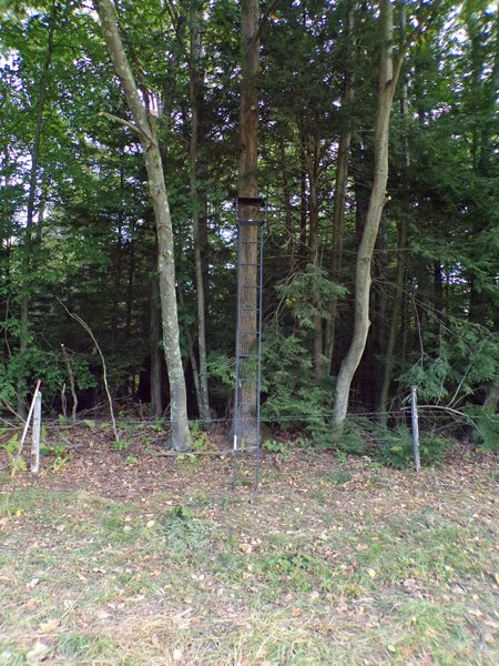 The hunting stand2 crop Sept. 2020.jpg