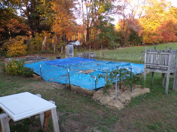 Small garden  tarps on crop Oct. 2020.jpg