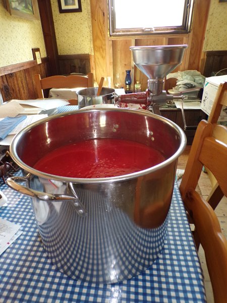 Stockpot of tomato sauce crop August 2020.jpg