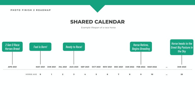 Photo Finish 2 Roadmap_page-0019.jpg