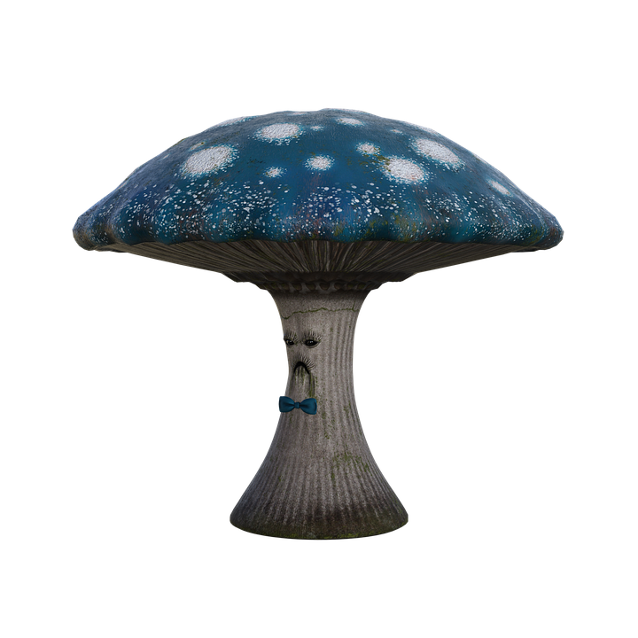 mister-mushroom-4582661_960_720.png