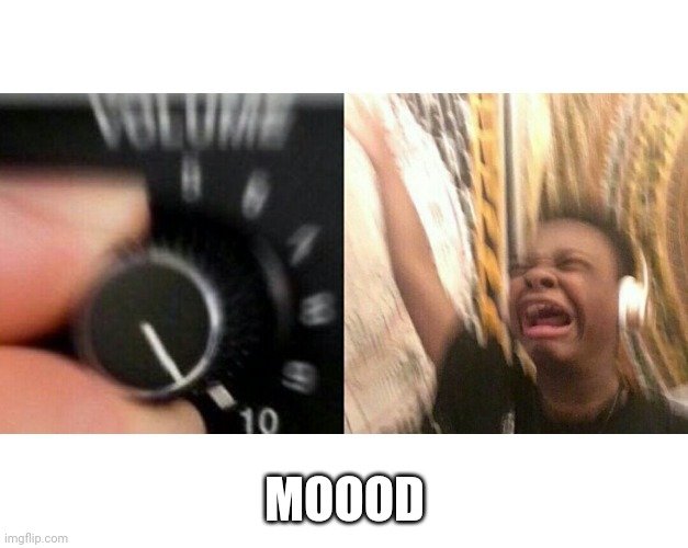 6m1o12.jpg