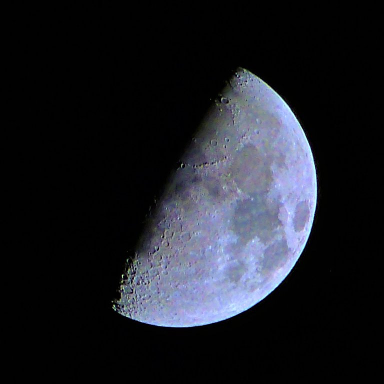 P1460011.jpg
