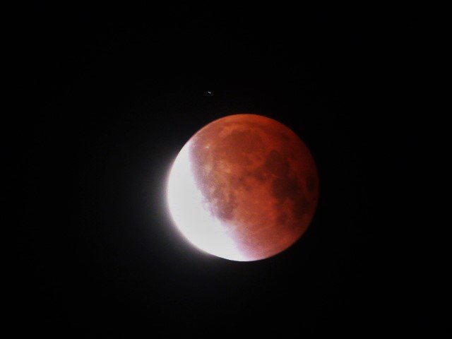 P1420406(1).jpg