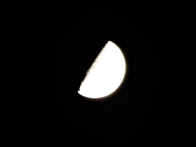 P1460005.jpg
