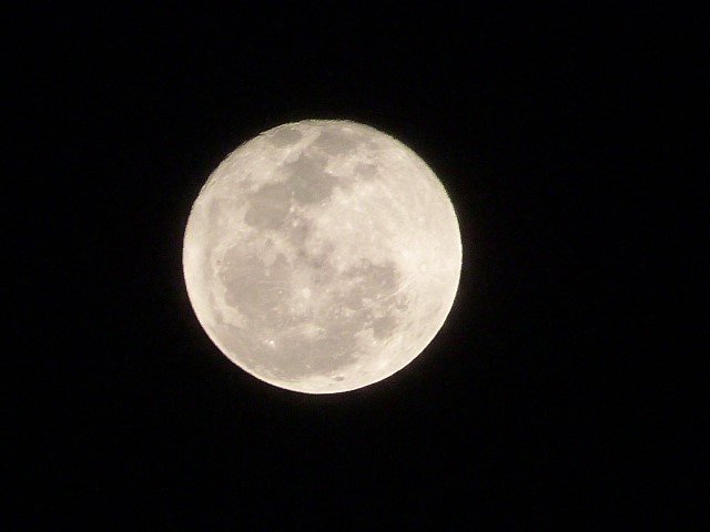 P1470796.jpg