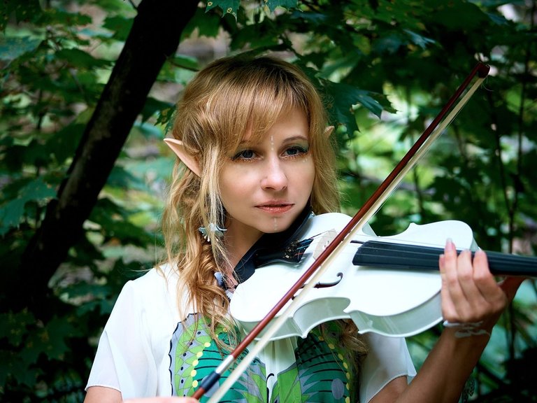 violin-4409764_1280.jpg