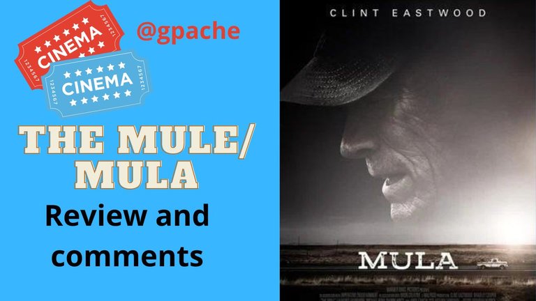 the mule mula.jpg