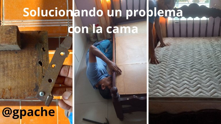 My Daily Vlog.jpg