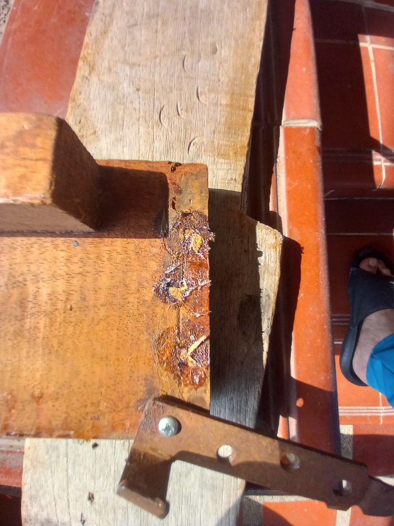 20250329_092757.jpg
