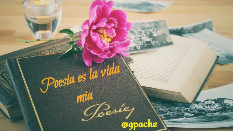 poesia-es-la-vida-mia-@gpache.jpeg