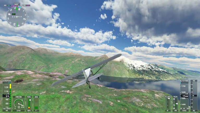 Microsoft Flight Simulator (6).png