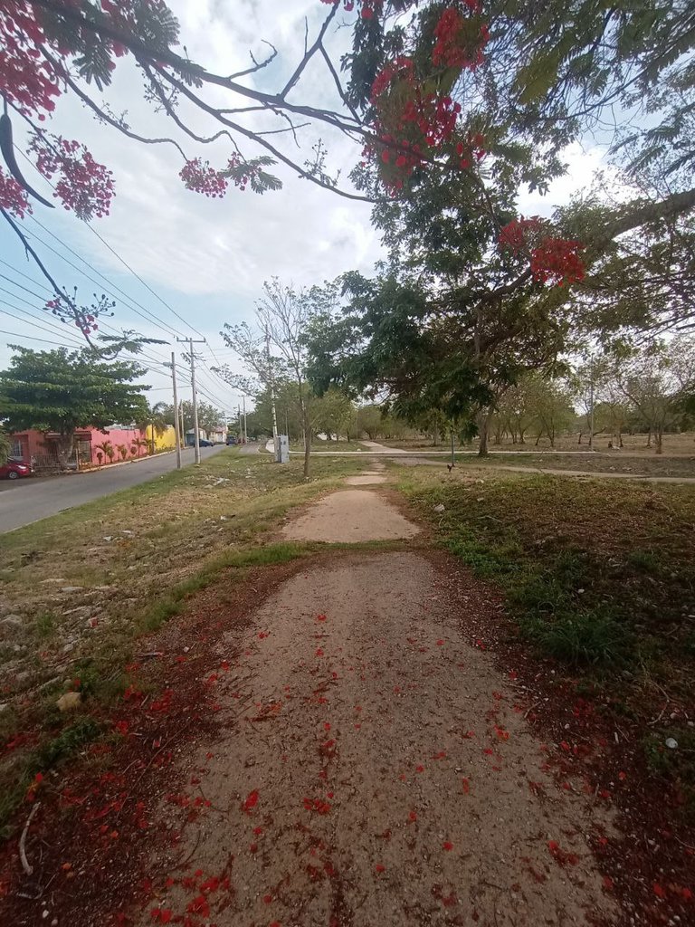5053548702358154936 (1).jpg