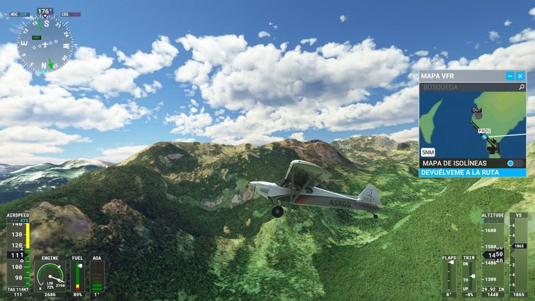 Microsoft Flight Simulator.png