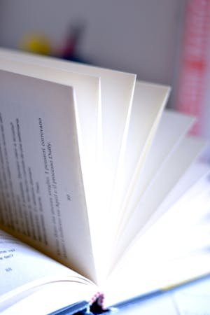 Hive-Reachout weekly prompt 48... Don't judge a book by its cover.